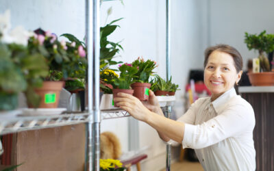 Donos de micro e pequenos negócios superam a crise com gestão financeira equilibrada