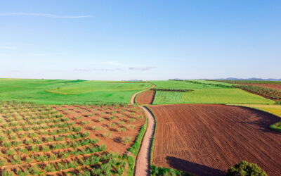 Receita Federal anuncia regras para a declaração do imposto sobre propriedade rural 2022